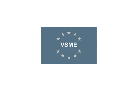 VSME